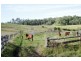 Lot 571 Afterlee Road, Kyogle NSW 2474
