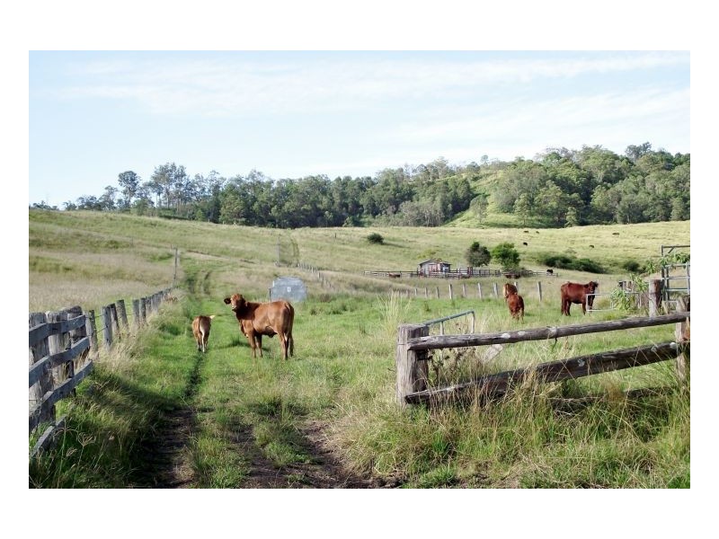 Lot 571 Afterlee Road, Kyogle NSW 2474