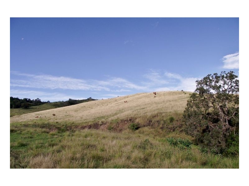 Lot 571 Afterlee Road, Kyogle NSW 2474