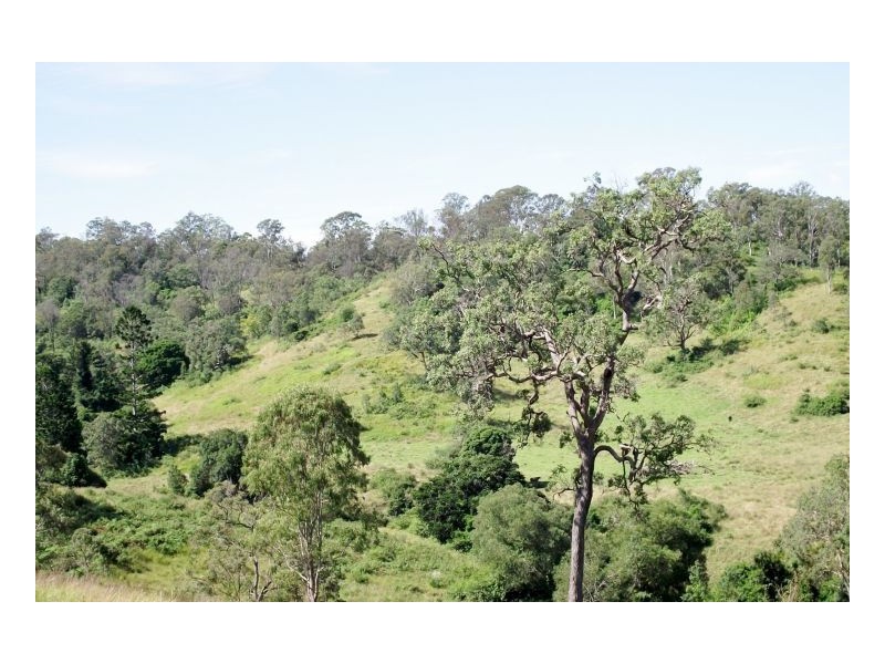 Lot 571 Afterlee Road, Kyogle NSW 2474