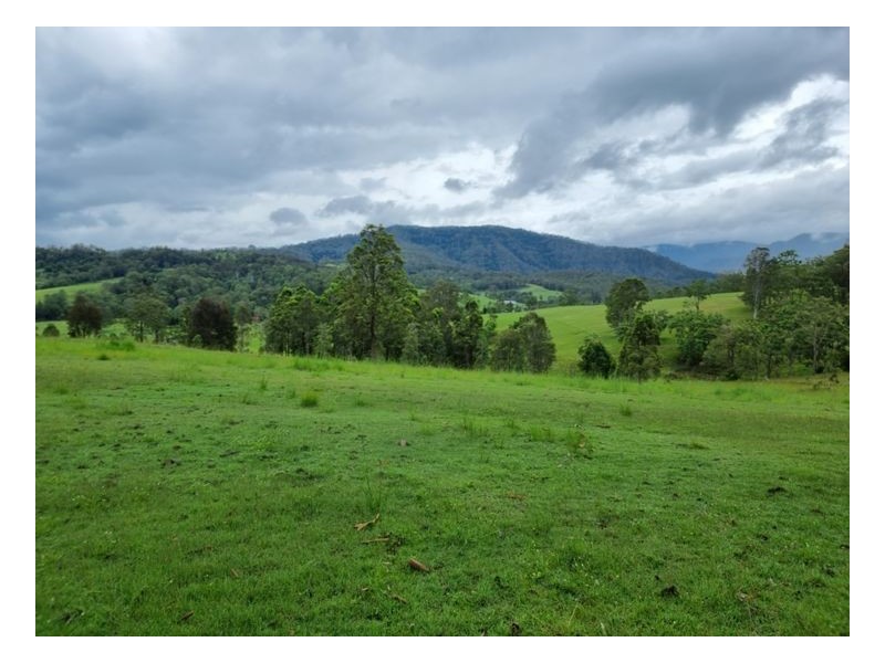 Lot 104 Davis Road, Green Pigeon,, Kyogle NSW 2474