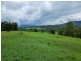 Lot 104 Davis Road, Green Pigeon,, Kyogle NSW 2474