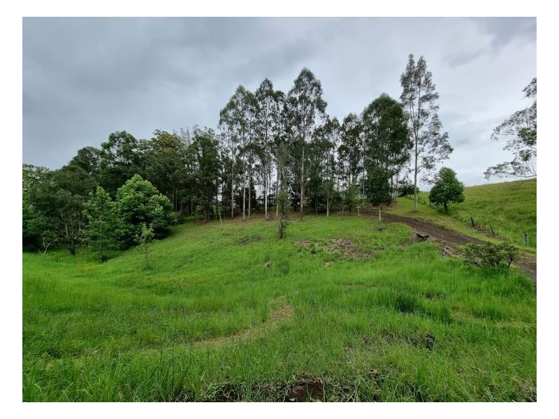 Lot 104 Davis Road, Green Pigeon,, Kyogle NSW 2474