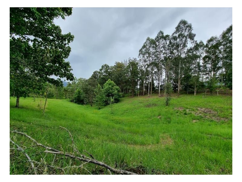 Lot 104 Davis Road, Green Pigeon,, Kyogle NSW 2474