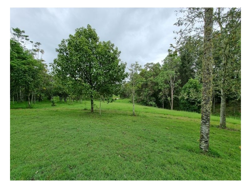 Lot 104 Davis Road, Green Pigeon,, Kyogle NSW 2474