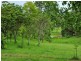Lot 104 Davis Road, Green Pigeon,, Kyogle NSW 2474