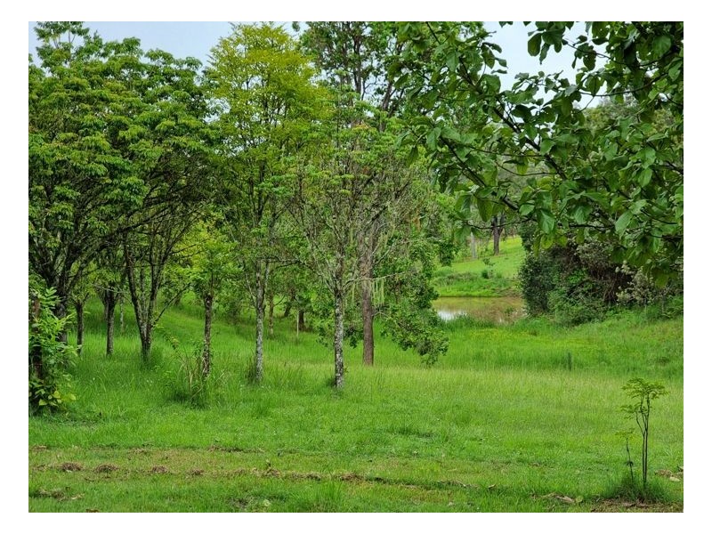 Lot 104 Davis Road, Green Pigeon,, Kyogle NSW 2474