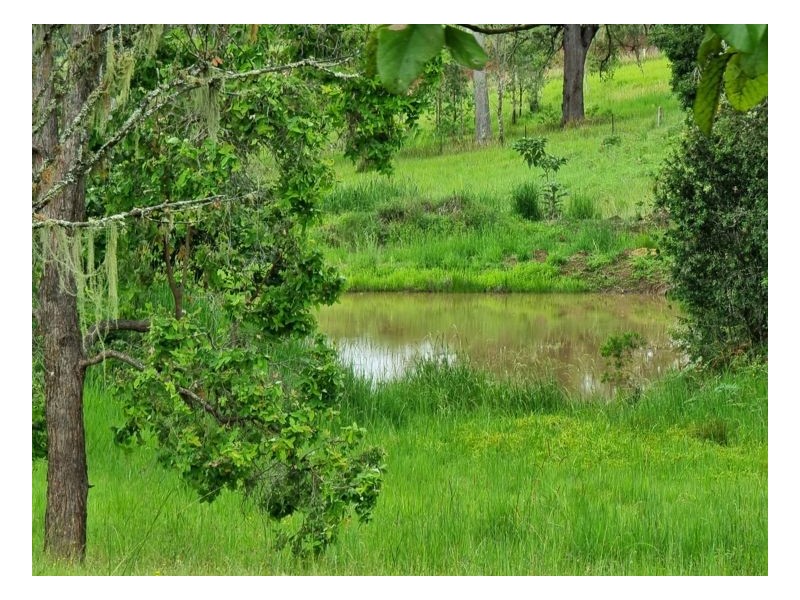 Lot 104 Davis Road, Green Pigeon,, Kyogle NSW 2474