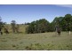 Kyogle NSW 2474
