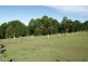 Kyogle NSW 2474