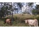 Kyogle NSW 2474