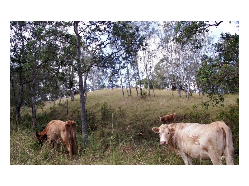 Kyogle NSW 2474