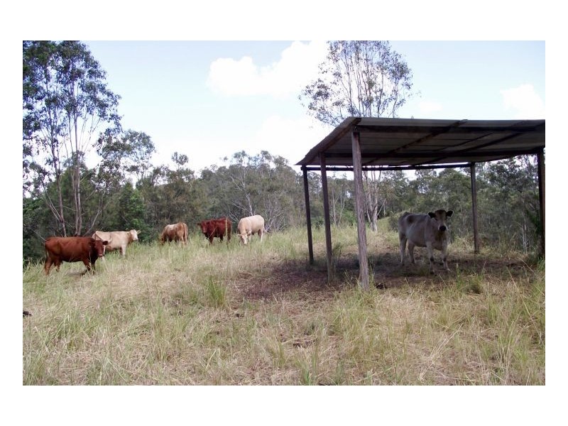 Kyogle NSW 2474