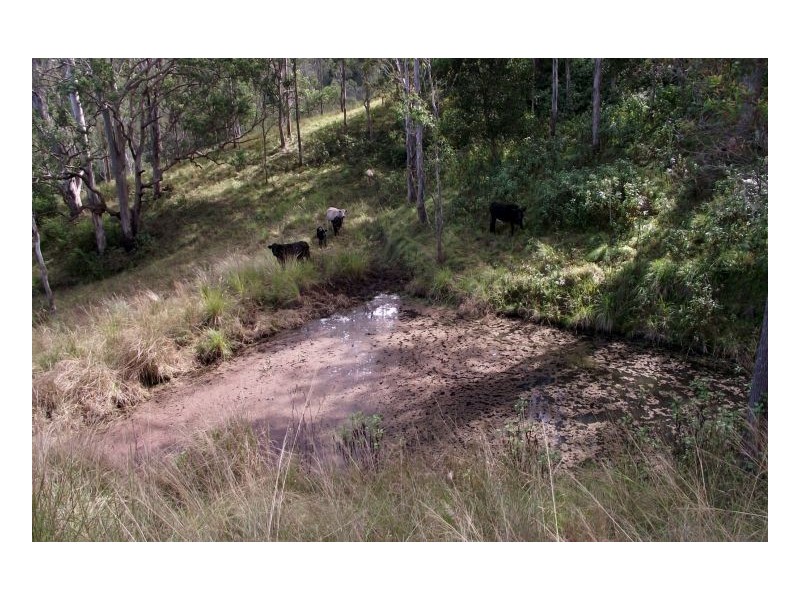 Kyogle NSW 2474