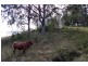 Kyogle NSW 2474