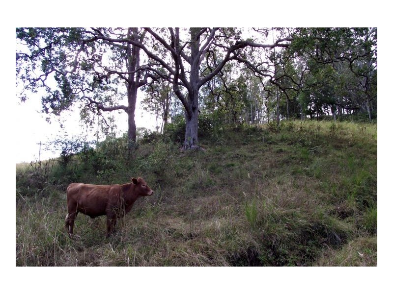 Kyogle NSW 2474
