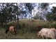 Kyogle NSW 2474