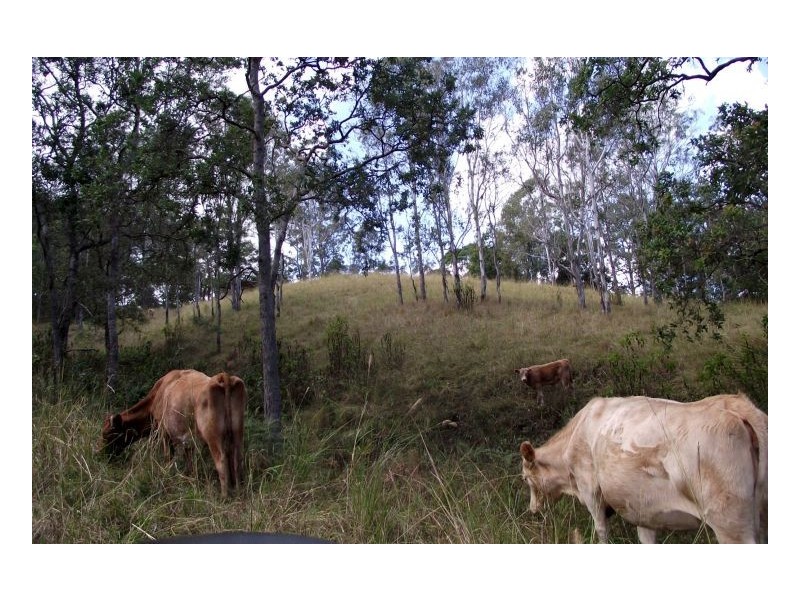 Kyogle NSW 2474