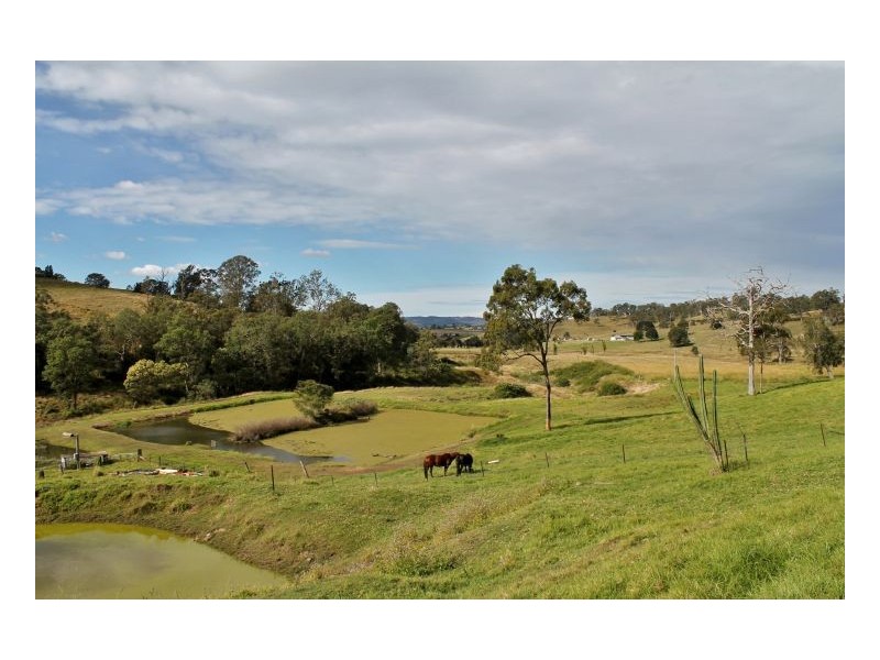 532 Pines Road, Kyogle NSW 2474