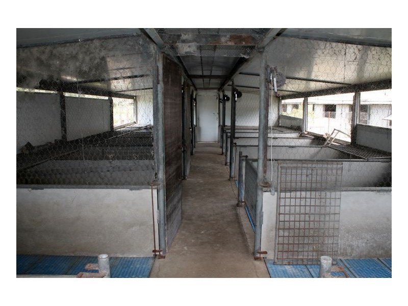 532 Pines Road, Kyogle NSW 2474