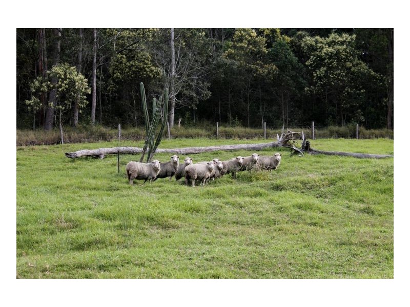 532 Pines Road, Kyogle NSW 2474