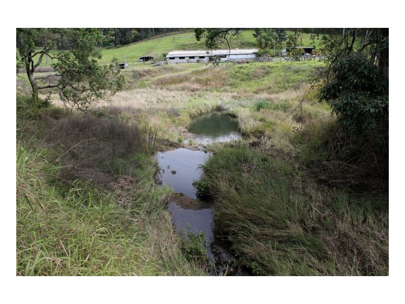 532 Pines Road, Kyogle NSW 2474