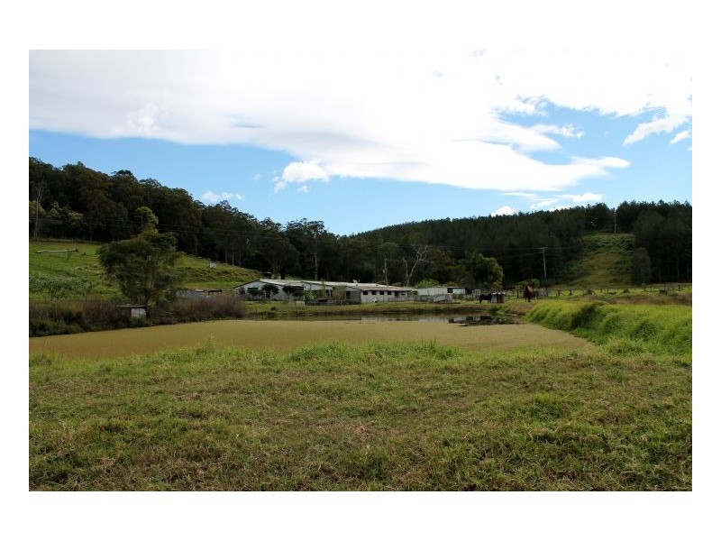 532 Pines Road, Kyogle NSW 2474