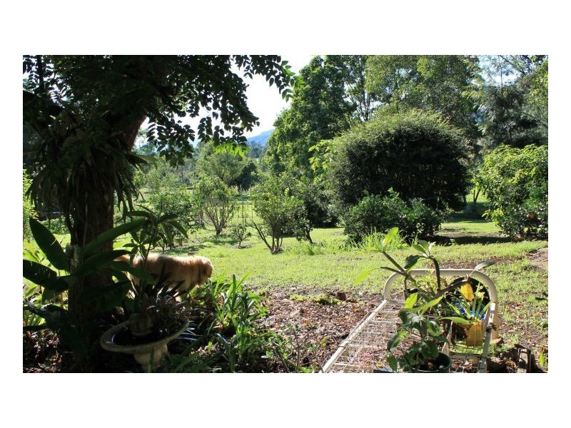 160 Omagh Road, Kyogle NSW 2474