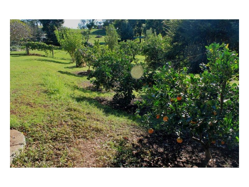 160 Omagh Road, Kyogle NSW 2474