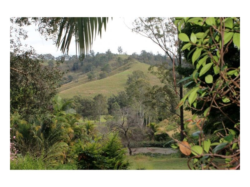 116 Boorabee Creek Road, Kyogle NSW 2474