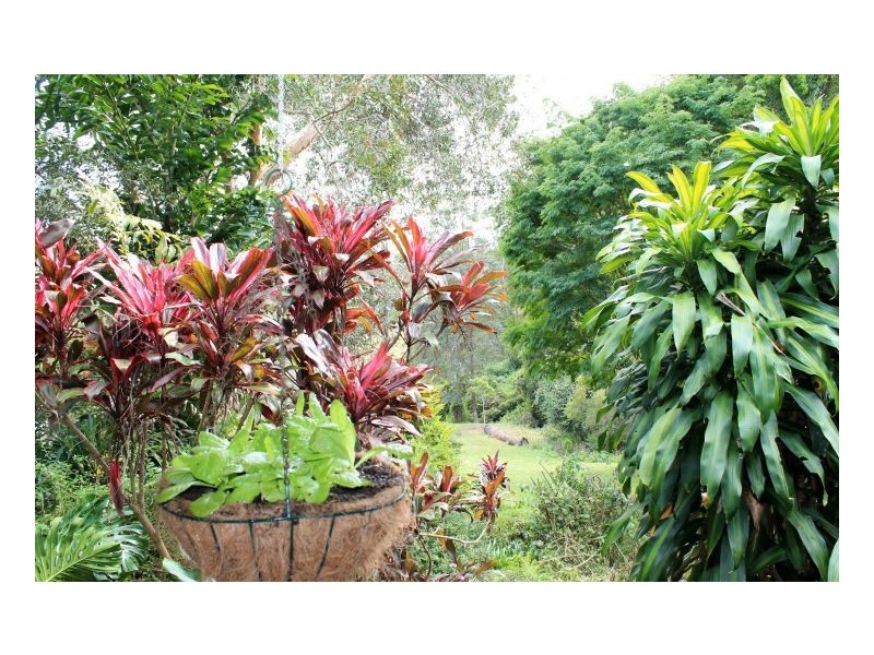 116 Boorabee Creek Road, Kyogle NSW 2474