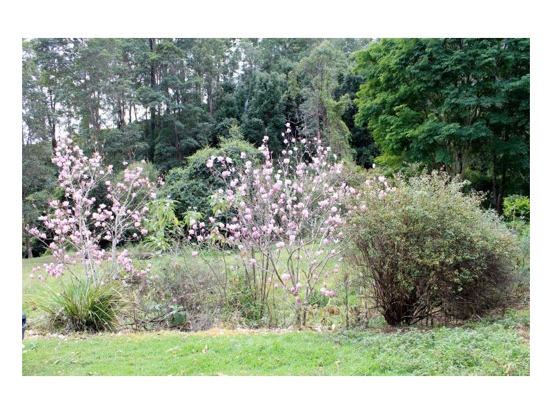 116 Boorabee Creek Road, Kyogle NSW 2474