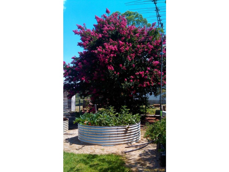 27 Richmond Street, Woodenbong NSW 2476