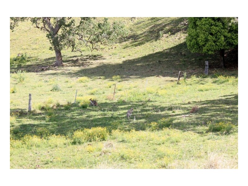 66 Omagh Road, Kyogle NSW 2474