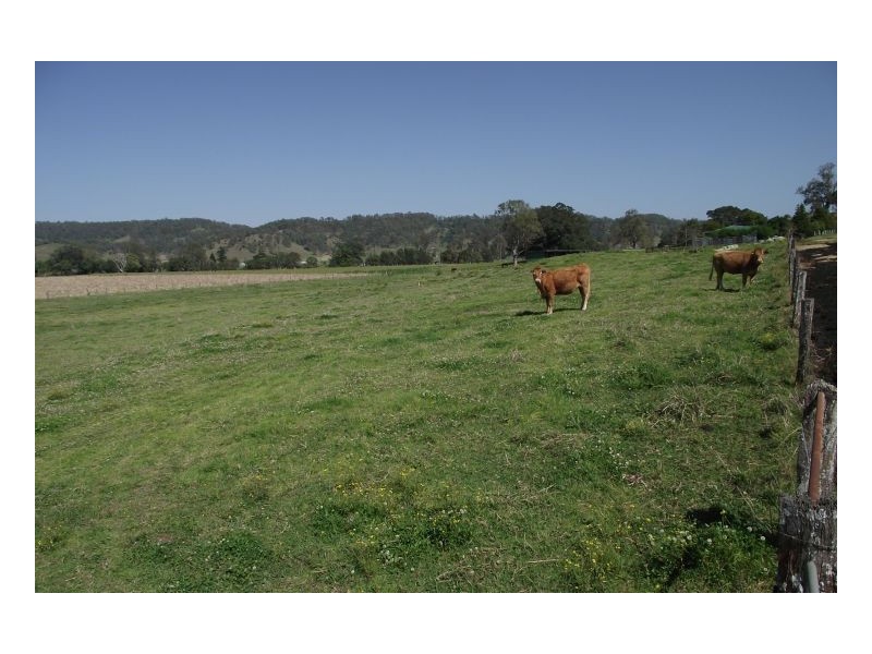 101 Homestead Road, Kyogle NSW 2474
