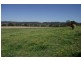 101 Homestead Road, Kyogle NSW 2474