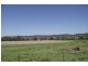 101 Homestead Road, Kyogle NSW 2474