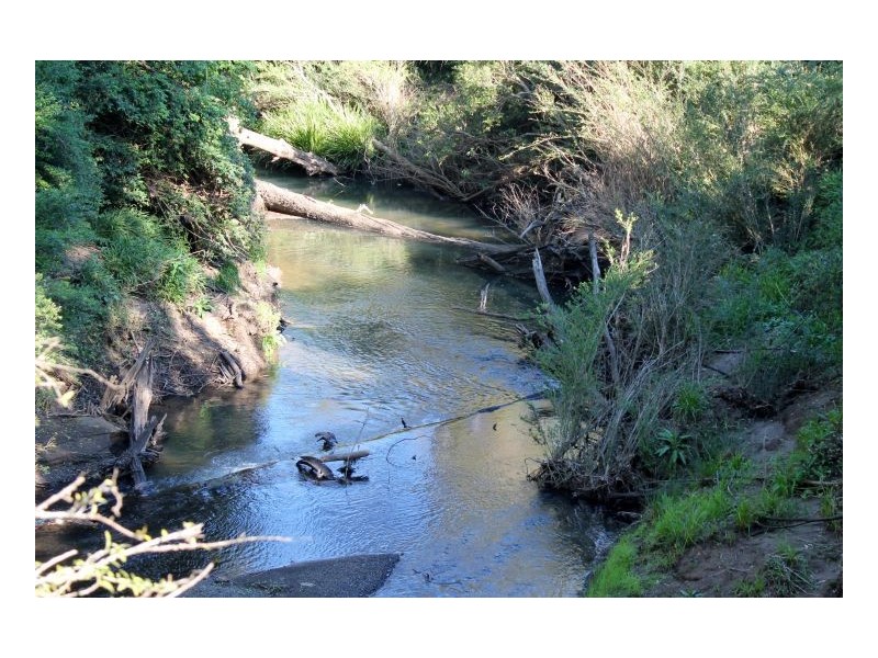 1270 Collins Creek Road, Kyogle NSW 2474