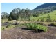 1270 Collins Creek Road, Kyogle NSW 2474