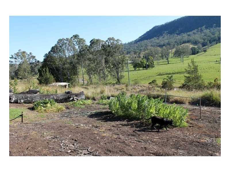 1270 Collins Creek Road, Kyogle NSW 2474
