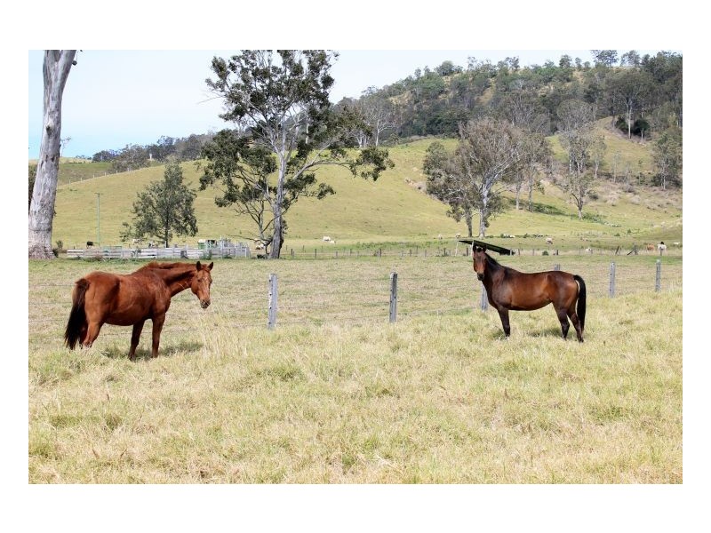 Lot 109 Eden Creek Road, Kyogle NSW 2474
