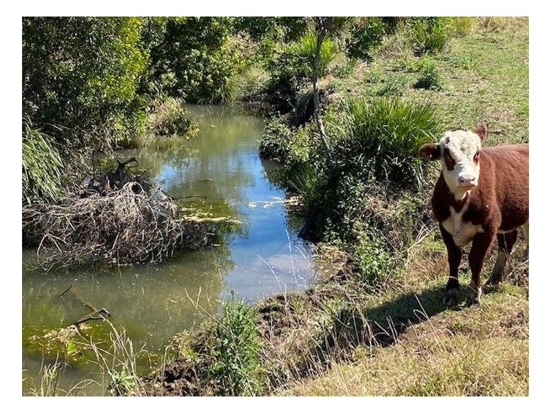 Lot 2 Old Cob O Corn Road, Kyogle NSW 2474