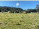 Lot 2 Old Cob O Corn Road, Kyogle NSW 2474