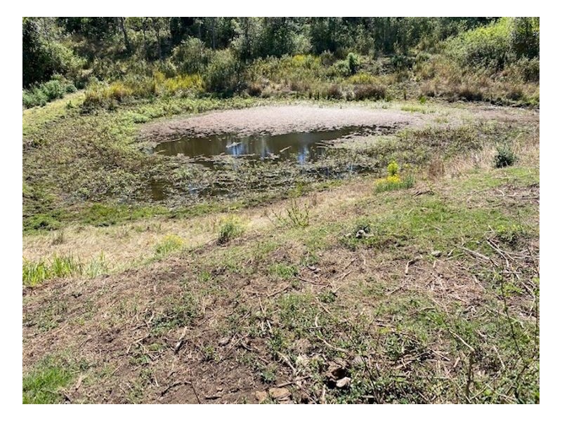 Lot 2 Old Cob O Corn Road, Kyogle NSW 2474