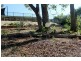 5 Benjamin Street, Kyogle NSW 2474
