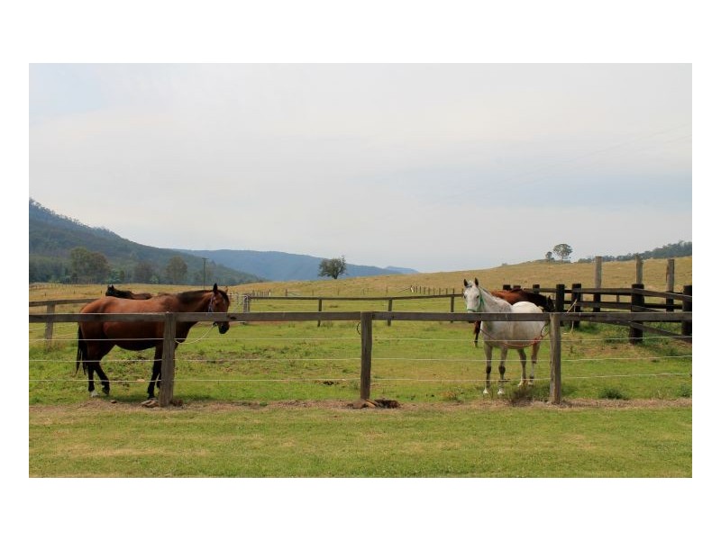 371 Roseberry Creek Road, Kyogle NSW 2474