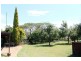 Kyogle NSW 2474
