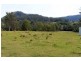 Kyogle NSW 2474