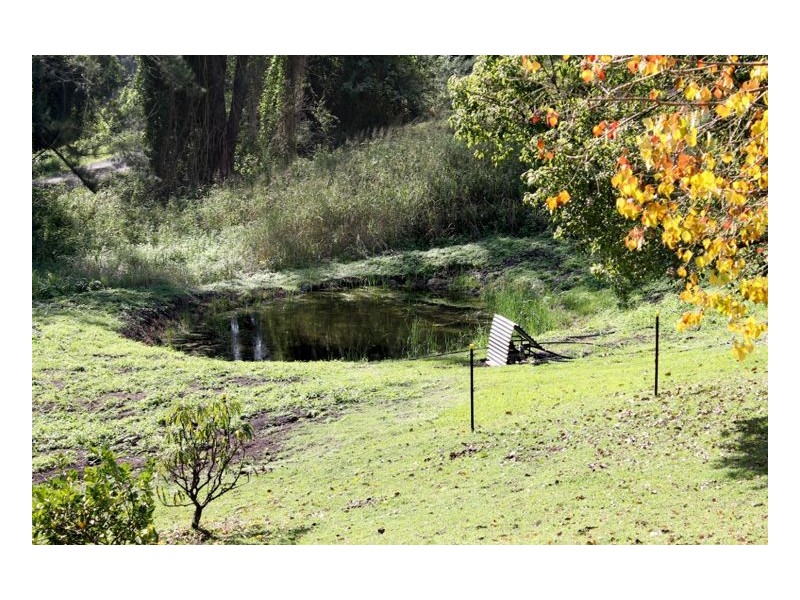 641 Iron Pot Creek Road, Kyogle NSW 2474