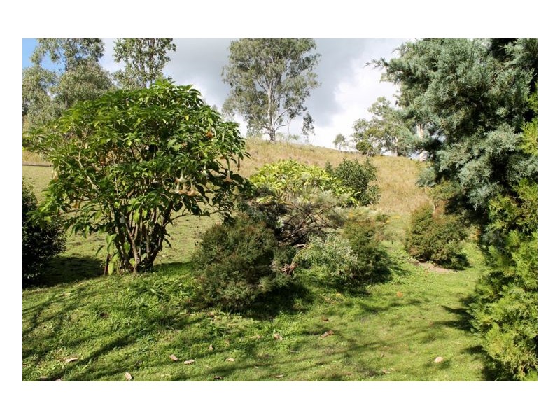 641 Iron Pot Creek Road, Kyogle NSW 2474